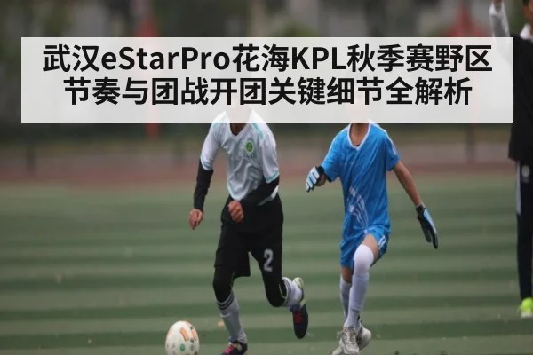 武汉eStarPro花海KPL秋季赛野区节奏与团战开团关键细节全解析