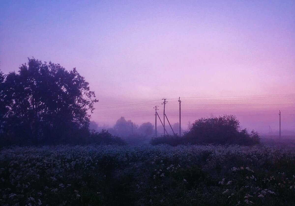 半岛体育-2026年政府工作报告要点一览，券商首席把脉2026年A股投资方向