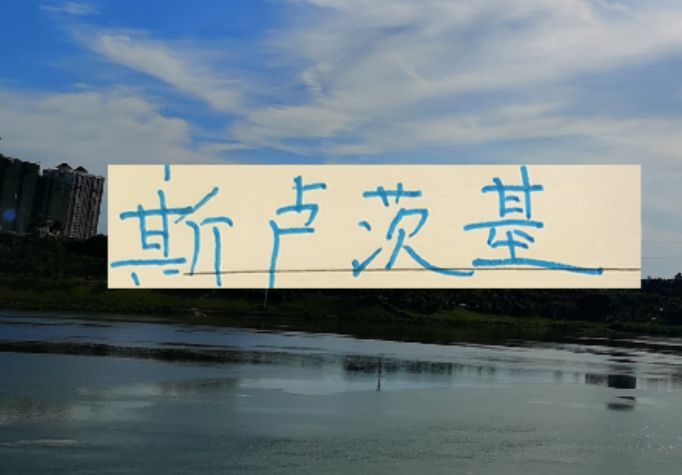 半岛体育官方网站-不怕盖伊不进球 ！ 就怕这哥们在申花发飙！进塞内加尔国家队